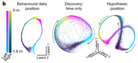 Header image for Learnable Latent Embeddings for Joint Behavioral and Neural Analysis