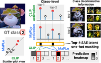 Header image for Sparse Autoencoders Reveal Selective Remapping of Visual Concepts During Adaptation